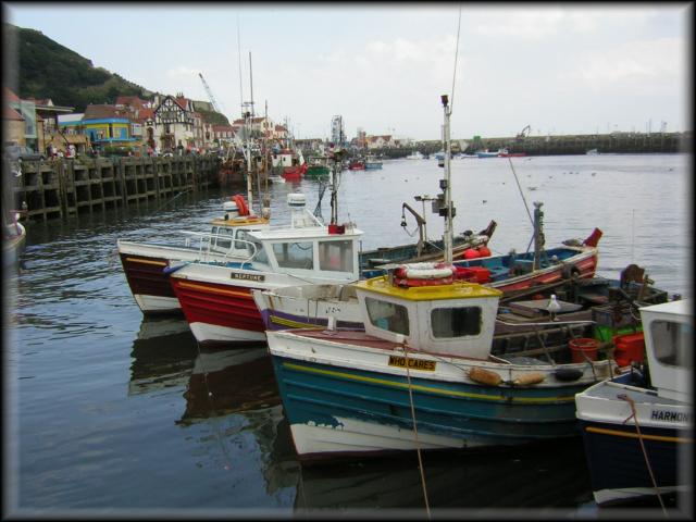 DSCN0102