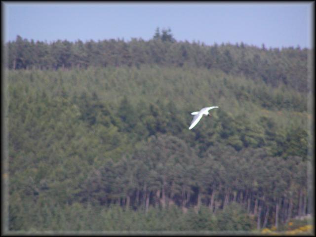 P6100171